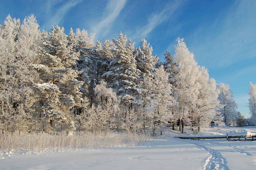 Lomasaaret Cottages Villala Екстериор снимка